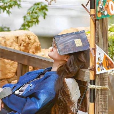 法律与秩序:特殊受害者第二十四季